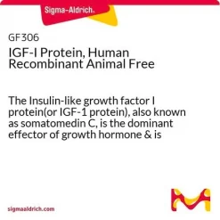 IGF-I белок человека рекомбинантный, Animal Free
