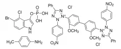 Раствор NBT-BCIP® BioReagent