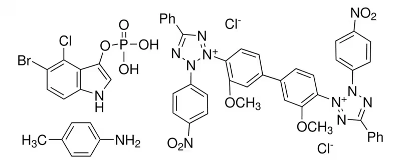 Раствор NBT-BCIP® BioReagent