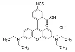 Родамин B изотиоцианат, BioReagent, смесь изомеров, для мечения белков