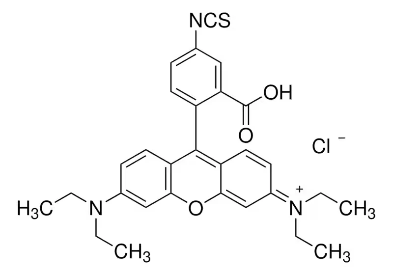 Родамин B изотиоцианат, BioReagent, смесь изомеров, для мечения белков