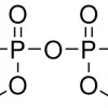 ТЭПФ (тетраэтилпирофосфат), аналитический стандарт PESTANAL®
