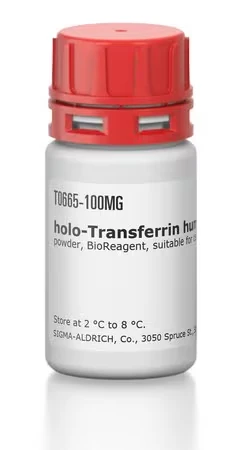 holo-Трансферрин человеческий, порошок, BioReagent, для культуры клеток, ≥97%