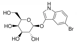 Блуо-Гал (Bluo-Gal), хромогенный субстрат для β-галактозидазы, CAS 97753-82-7
