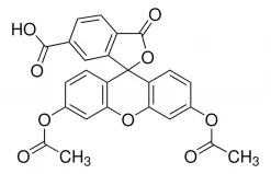 6-Карбоксифлуоресцеин диацетат (6-CFDA), ≥95% (HPLC)