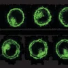 Набор для мечения клеточных мембран PKH67 Green Fluorescent Cell Linker Kit
