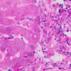 Концентрат заменителя водопроводной воды Скотта, 10×