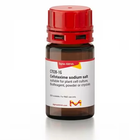Цефотаксим натриевая соль, BioReagent, для культуры растительных клеток
