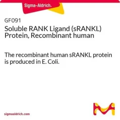 Растворимый лиганд RANK (sRANKL), рекомбинантный человеческий белок