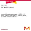 VCAM-1 человека, рекомбинантный, экспрессирован в клетках HEK 293