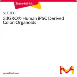 3dGRO® Органоиды толстой кишки человека, полученные из индуцированных плюрипотентных стволовых клеток