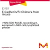 E-кадгерин/Fc-химера мыши, рекомбинантный, лиофилизированный порошок