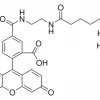 Биотин (5-флуоресцеин) конъюгат, BioReagent, для флуоресценции, ≥90% (HPCE)