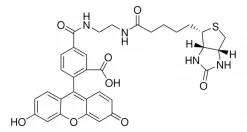 Биотин (5-флуоресцеин) конъюгат, BioReagent, для флуоресценции, ≥90% (HPCE)