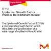 Эпидермальный фактор роста, рекомбинантный мышиный (EGF)
