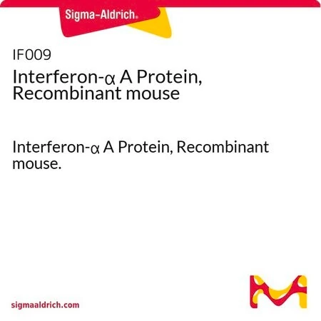 Рекомбинантный мышиный интерферон альфа A (IFN-α A), белок