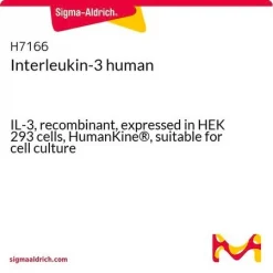 Интерлейкин-3 человека, рекомбинантный, экспрессирован в клетках HEK 293, HumanKine®