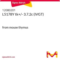 L5178Y tk+/- 3.7.2c (IVGT)