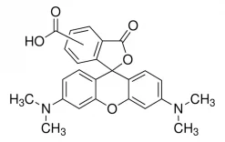 5(6)-Карбокситетраметилродамин, BioReagent, для флуоресценции, ≥85% (сумма изомеров, HPCE)