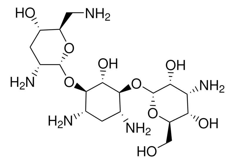 Тобрамицин, стандарт USP (CAS 32986-56-4)