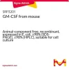 GM-CSF мышиный, рекомбинантный, экспрессия в E. coli