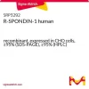 R-Spondin-1, человеческий рекомбинантный, экспрессирован в клетках CHO, ≥95% (SDS-PAGE)