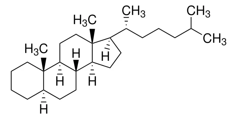5-α-Холестан, сертифицированный стандарт, 10 мг/мл в хлороформе