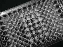 3D Biotek 3D Insert™ PCL скаффолд для 12-луночных планшетов, 6 вставок/планшет