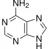 Аденин, BioReagent, для культуры растительных клеток, ≥99%