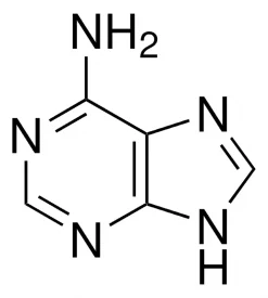 Аденин, BioReagent, для культуры растительных клеток, ≥99%