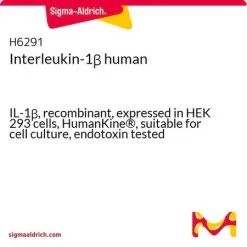 Интерлейкин-1β человеческий, рекомбинантный, экспрессирован в клетках HEK 293, HumanKine®