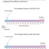 Коллаген IV типа из плаценты человека, порошок, BioReagent, для клеточных культур