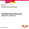 NOGGIN мышиный, рекомбинантный, экспрессирован в E. coli