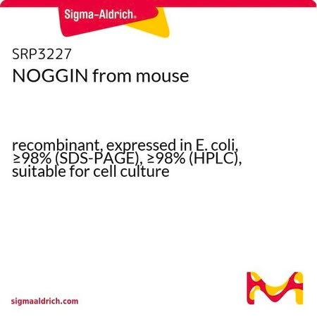 NOGGIN мышиный, рекомбинантный, экспрессирован в E. coli