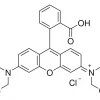 Родамин Б, ≥95% (HPLC)