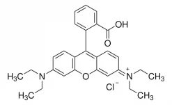 Родамин Б, ≥95% (HPLC)