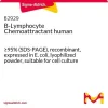 Хемоаттрактант B-лимфоцитов человека, рекомбинантный, из E. coli, лиофилизированный порошок