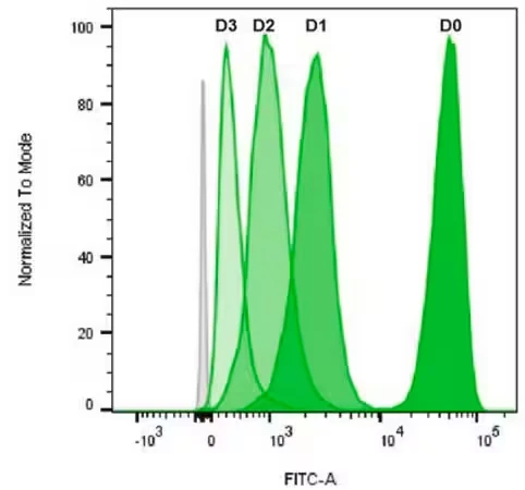 Набор для пролиферации клеток BioTracker 488 Green CFSE