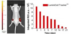 Набор для мечения клеток LuminiCell Tracker 670
