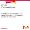 Интерферон омега человека (IFN-ω), рекомбинантный, экспрессирован в E. coli