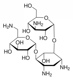 Раствор канамицина из Streptomyces kanamyceticus, 10 мг/мл в 0,9% NaCl