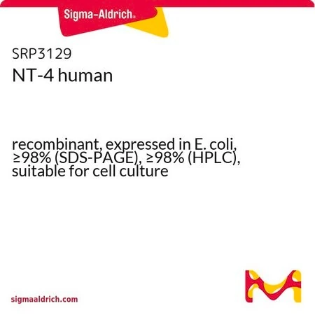 Нейротрофин-4 (NT-4) человеческий рекомбинантный, экспрессия в E. coli