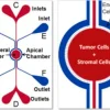 Стартовый набор SynTumour 3D для модели рака, IMN2 радиальная конфигурация, щели 2 мкм, с пневматическим праймером