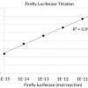 Набор для анализа люциферазы светлячка (Firefly Luciferase Assay)