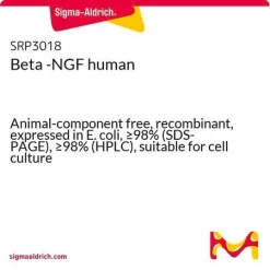 Бета-фактор роста нервов человека (бета-NGF), рекомбинантный, экспрессирован в E. coli