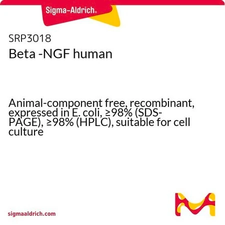 Бета-фактор роста нервов человека (бета-NGF), рекомбинантный, экспрессирован в E. coli