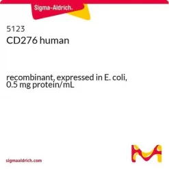 CD276 (B7-H3), человеческий рекомбинантный, экспрессирован в E. coli, 0.5 мг/мл
