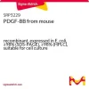 PDGF-BB мышиный, рекомбинантный, экспрессирован в E. coli
