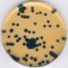 Селективная добавка для Clostridium perfringens