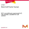 Фактор стволовых клеток человека (SCF), рекомбинантный, экспрессирован в E. coli, порошок